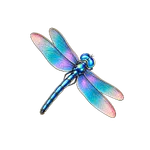 Libélula azul